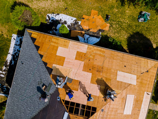 Roof Gutter Cleaning in Vidalia, GA