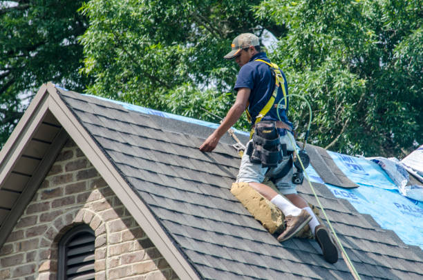 Best Roof Restoration Services  in Vidalia, GA